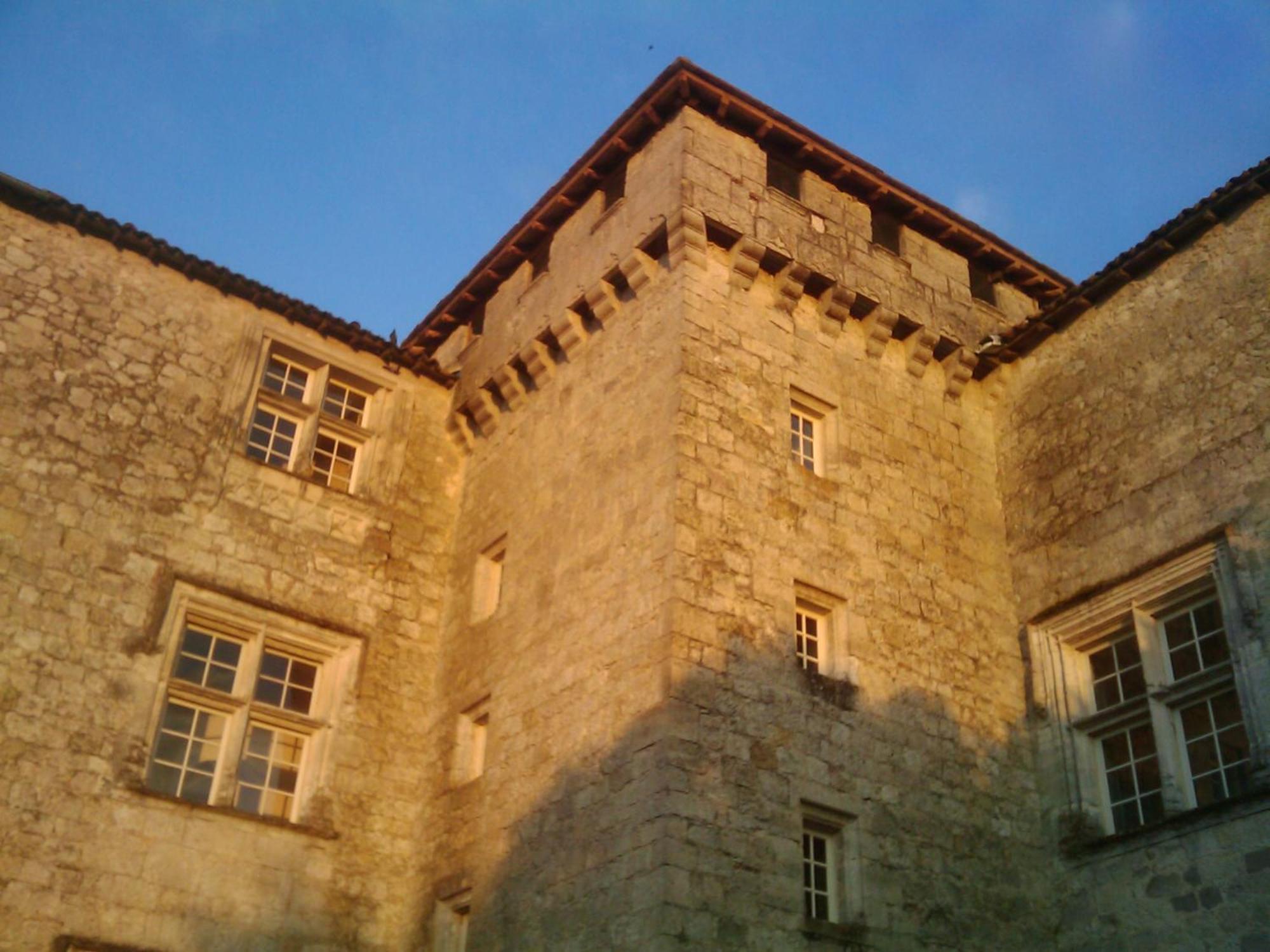 Chateau De Fources ภายนอก รูปภาพ
